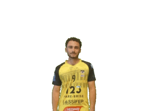 Sport Handball Sticker by Hazebrouckhandball