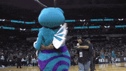 charlotte hornets oops GIF by NBA