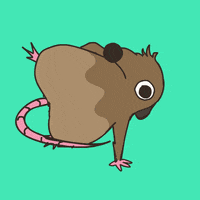Dance Dancing GIF