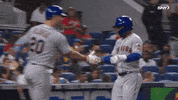 Home Run Celebration GIF by SNY