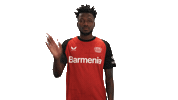 Bye Bye Leverkusen Sticker by Bundesliga