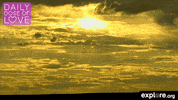 mother nature love GIF by explore.org