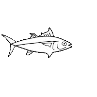 Ocean Fish Sticker by worldshop.eu