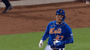 Happy Major League Baseball GIF by New York Mets