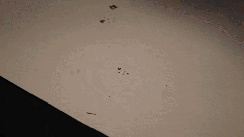 victorvictor23b9 giphyupload GIF