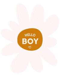 Mapetitevie boy fleurs babyboy mapetitevie Sticker