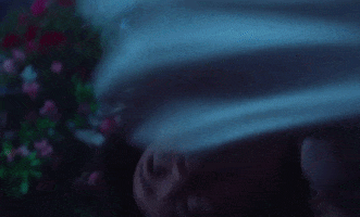 Stay Soft GIF by Mitski