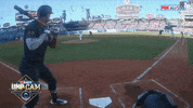 Major League Baseball Sport GIF by MLB
