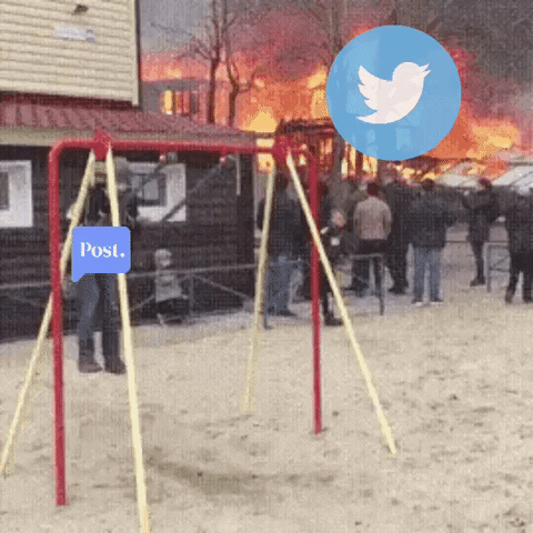 markerpolloy twitter chaos GIF