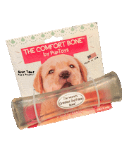 Bone Dog Training Sticker