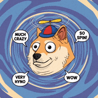 Shiba Inu Wow GIF by Doge Pound