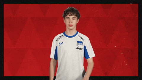 Hertha Bsc Football GIF by Bundesliga