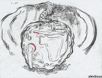 Fire Pm GIF by Alex Boya