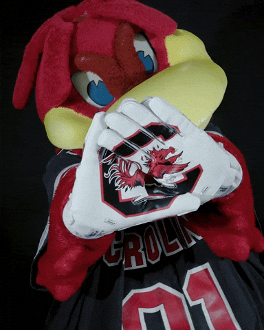 Football Logo GIF by University of South Carolina