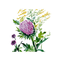 Art Flower Sticker