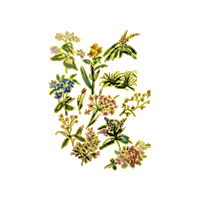 Art Flower Sticker