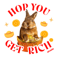 Chinese New Year Bunny Sticker by airasia