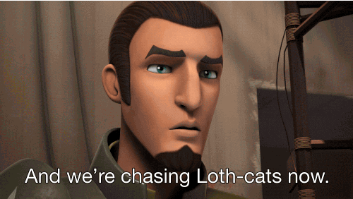 loth-cats GIF by Star Wars