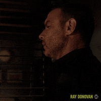 Episode 4 Showtime GIF by Ray Donovan