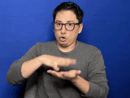 Asl Understanding GIF