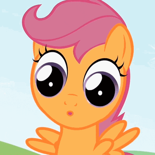 friendship pony GIF by Cheezburger