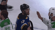 ice hockey hug GIF by NHL