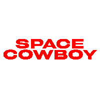 Space Texas Sticker