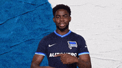 Bundesliga Berlin GIF by Hertha BSC