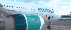 Viajar Cabin Crew GIF by Iberojet
