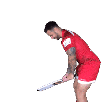 Celebration Cricket Sticker by Jersey Reds