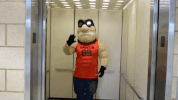 Ncaa Basketball GIF by Dayton Flyers