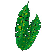 Tiki Hojas Sticker by Swizzologist