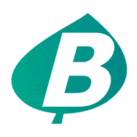 bioseg sst seguranca do trabalho bioseg biosegsorriso Sticker