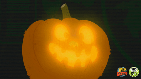 jack o lantern halloween GIF by PBS KIDS