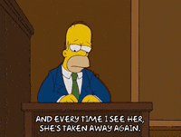 homer simpson jury GIF