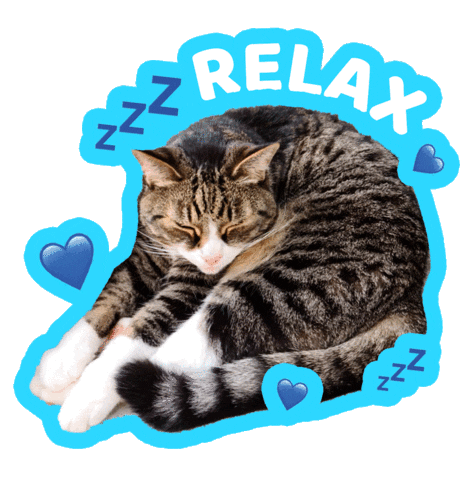 Cats Love Sticker