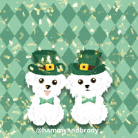 St Patricks Dogs GIF by HammyandBrody