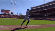 Blue Jays Baseball GIF by Toronto Blue Jays