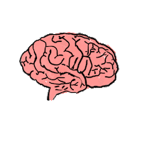 sexy brain Sticker