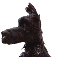 isle of dogs what Sticker by Fox Searchlight
