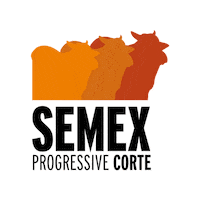 Semex Brasil Sticker by Cenatte