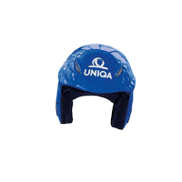 Ski4Uniqa Sticker by Uniqa SK