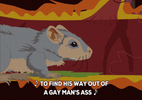 a rat in a tunnel GIF by South Park 