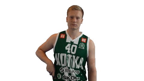Basketball Hoops Sticker by Basket_fi