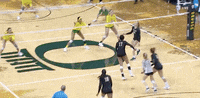 volleyball bears GIF by NCAA Championships