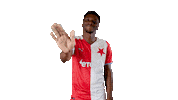 Football Hello Sticker by SK Slavia Praha