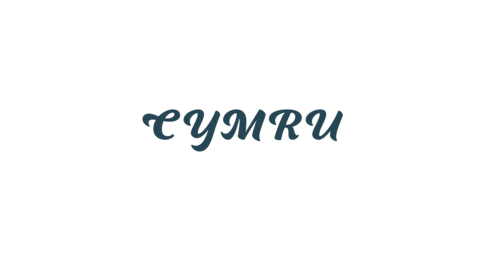 Cymru Am Byth Animation Sticker by EatSleep Media