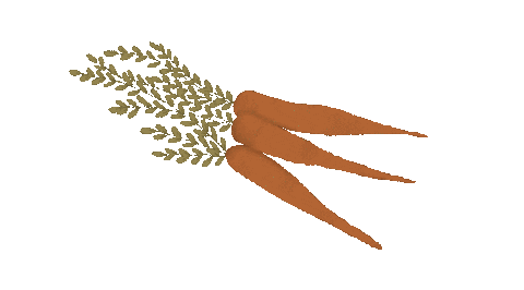 Garden Vegetables Sticker