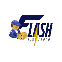 flashaircargo sea miami fast flash Sticker