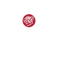 vaustleoben rose lgbtiq vsstoe vaustleoben Sticker